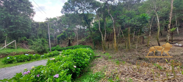 Imagem Terreno à Venda, 1.050 m² em Alto Da Boa Vista - Campos Do Jordão Imagem Terreno à Venda, 1.050 m² em Alto Da Boa Vista - Campos Do Jordão