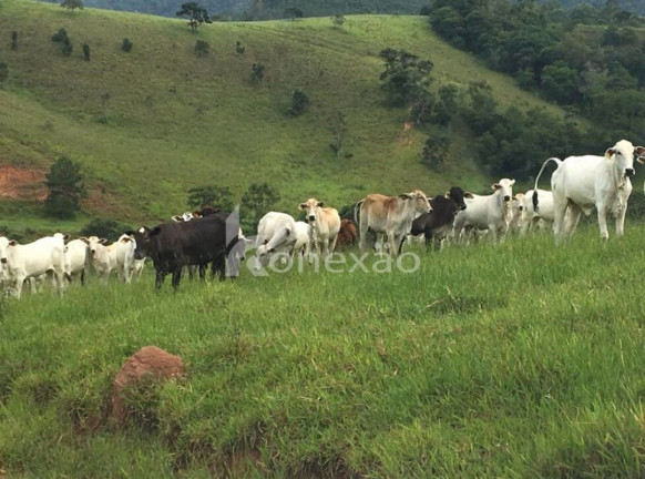 Imagem Fazenda à Venda, 400 m² em Jardim Prado - Santa Branca Imagem Fazenda à Venda, 400 m² em Jardim Prado - Santa Branca