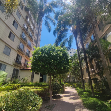 Imagem Imóvel com 3 Quartos à Venda, 61 m² em Jardim Santa Emília - São Paulo
