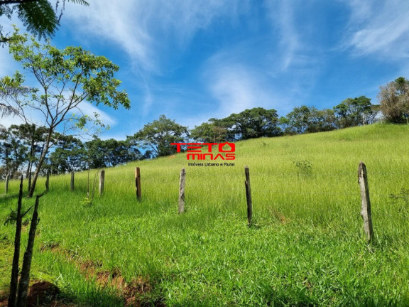 Imagem Imóvel com 3 Quartos à Venda,  em Zona Rural - Pouso Alto