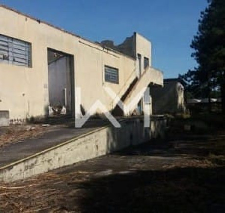 Imagem Imóvel à Venda, 8.394 m² em Jardim Paineira - Itaquaquecetuba Imagem Imóvel à Venda, 8.394 m² em Jardim Paineira - Itaquaquecetuba