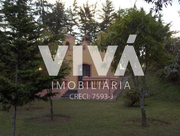 Imagem Fazenda à Venda, 600.000 m² em Itapeva - Itapeva