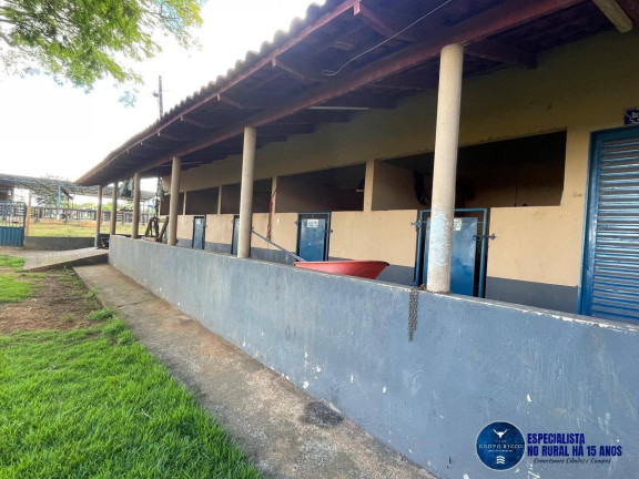 Imagem Fazenda à Venda, 40 m² em Zona Rural - Itaberaí Imagem Fazenda à Venda, 40 m² em Zona Rural - Itaberaí