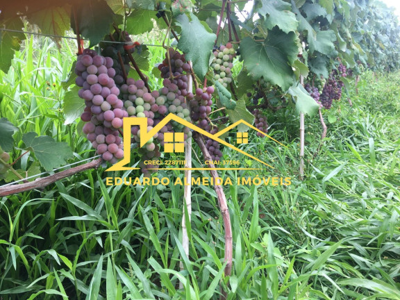 Imagem Imóvel com 2 Quartos à Venda, 2 m² em Centro - Gramadinho
