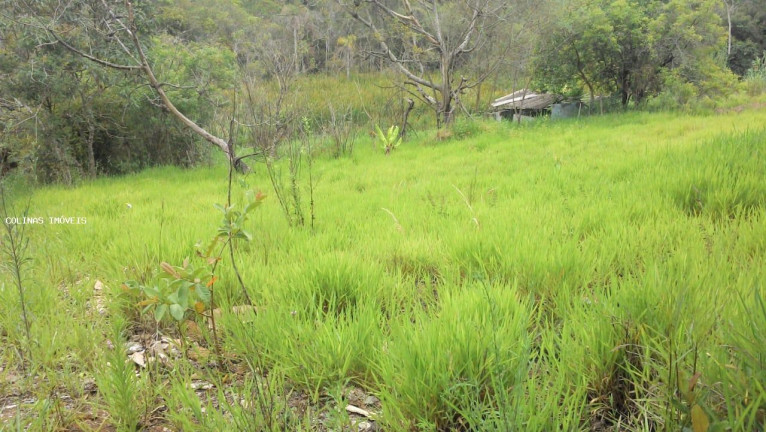 Imagem Terreno à Venda, em Antes Do Centro - Ibiúna Imagem Terreno à Venda, em Antes Do Centro - Ibiúna
