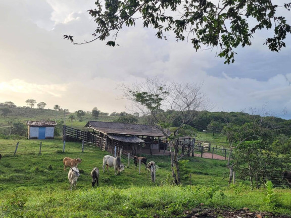 Imagem Fazenda à Venda, 52 m² em Zona Rural - Goiás Imagem Fazenda à Venda, 52 m² em Zona Rural - Goiás