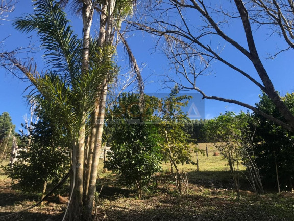 Imagem Imóvel com 2 Quartos à Venda, 100 m² em Baleiro Felicidade - Cunha Imagem Imóvel com 2 Quartos à Venda, 100 m² em Baleiro Felicidade - Cunha