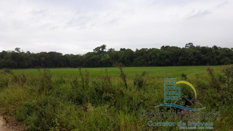 Imagem Terreno à Venda, 152.570 m² em Centro - Garuva