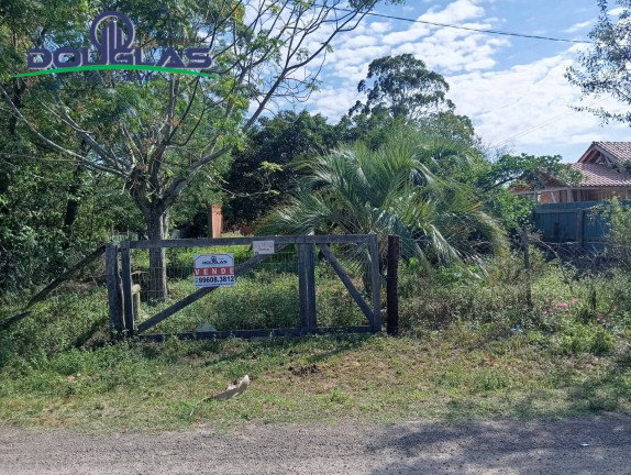 Imagem Terreno à Venda, 600 m² em Viamão Imagem Terreno à Venda, 600 m² em Viamão