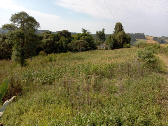 Imagem Imóvel com 3 Quartos à Venda, 130.000 m² em Cantagalo - Antônio Olinto Imagem Imóvel com 3 Quartos à Venda, 130.000 m² em Cantagalo - Antônio Olinto