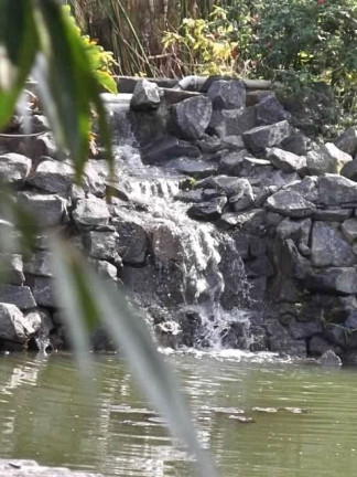 Imagem Fazenda à Venda, 30.000 m² em águas Claras - Viamão Imagem Fazenda à Venda, 30.000 m² em águas Claras - Viamão