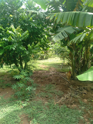 Imagem Chácara com 3 Quartos à Venda, 21 m² em Cromínia Imagem Chácara com 3 Quartos à Venda, 21 m² em Cromínia