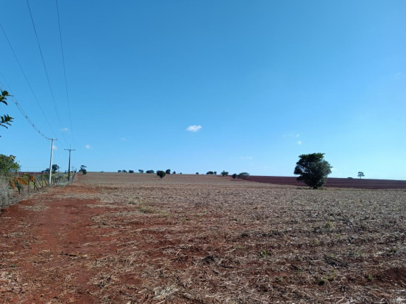 Imagem Chácara à Venda, 29 m² em Rural - Avaré
