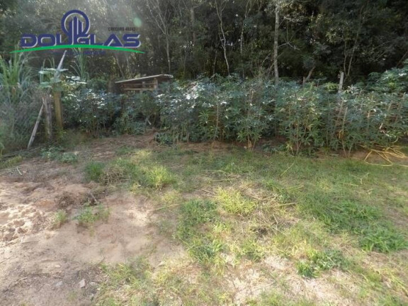 Imagem Casa com 1 Quarto à Venda, 530 m² em Viamão Imagem Casa com 1 Quarto à Venda, 530 m² em Viamão