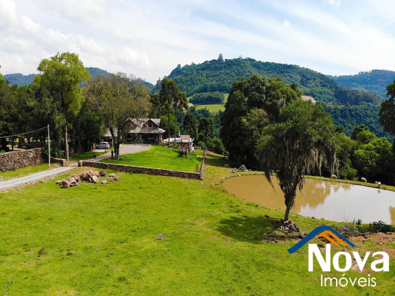Imagem Imóvel à Venda, 50.000 m² em Linha Brasil - Nova Petrópolis Imagem Imóvel à Venda, 50.000 m² em Linha Brasil - Nova Petrópolis