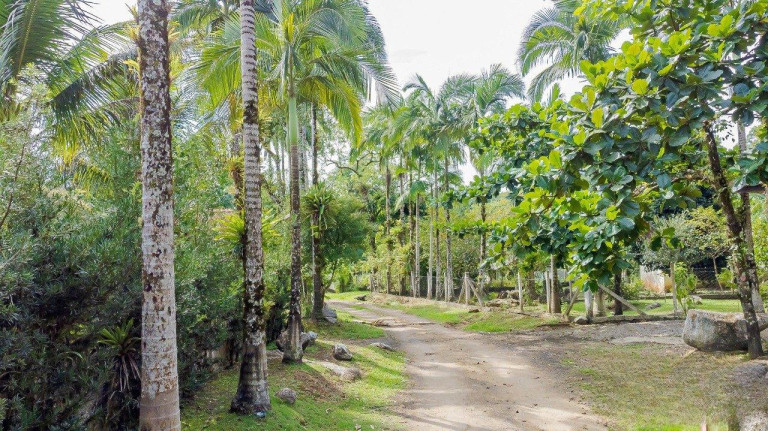 Imagem Imóvel com 5 Quartos à Venda, 11.577 m² em Rio Sagrado - Morretes Imagem Imóvel com 5 Quartos à Venda, 11.577 m² em Rio Sagrado - Morretes
