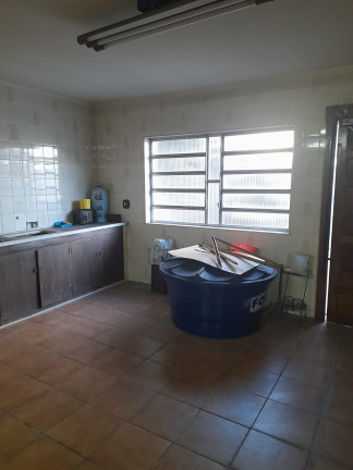 Imagem Casa com 3 Quartos à Venda, 267 m² em Jardim Da Gloria - São Paulo Imagem Casa com 3 Quartos à Venda, 267 m² em Jardim Da Gloria - São Paulo