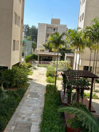 Imagem Imóvel com 3 Quartos à Venda, 80 m² em Jardim Nova Europa - Campinas Imagem Imóvel com 3 Quartos à Venda, 80 m² em Jardim Nova Europa - Campinas