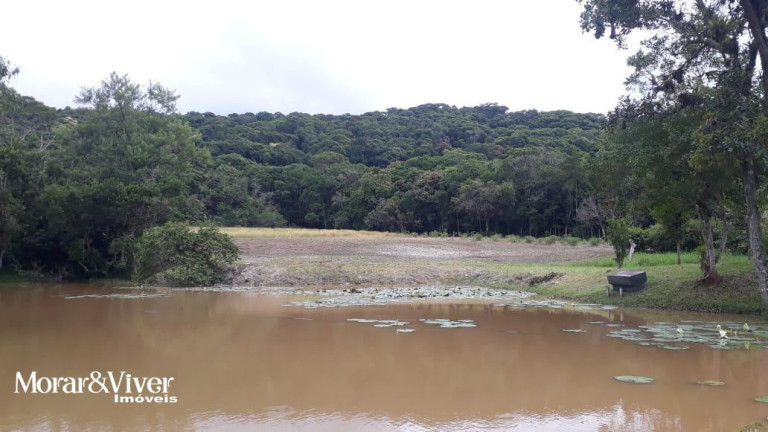 Imagem Chácara com 3 Quartos à Venda, 84.750 m² em Alexandra - Paranaguá Imagem Chácara com 3 Quartos à Venda, 84.750 m² em Alexandra - Paranaguá