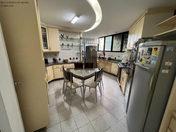 Imagem Imóvel com 4 Quartos à Venda, 336 m² em Horto Florestal - Salvador
