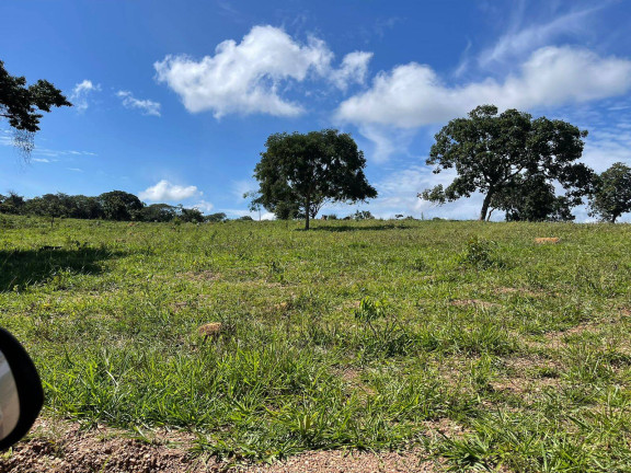 Imagem Chácara à Venda, 12 m² em Zona Rural - Vianópolis Imagem Chácara à Venda, 12 m² em Zona Rural - Vianópolis