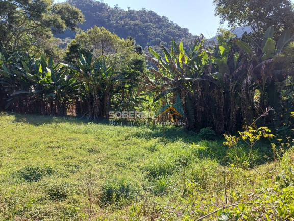Imagem Imóvel com 3 Quartos à Venda, 70.000 m² em Vargem Grande - Teresópolis Imagem Imóvel com 3 Quartos à Venda, 70.000 m² em Vargem Grande - Teresópolis