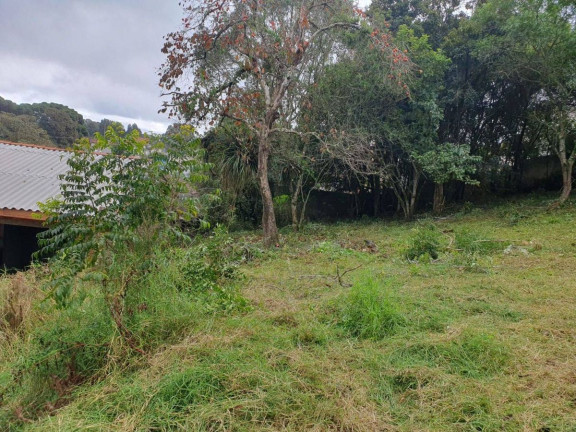 Imagem Terreno à Venda, em Vila Rosa - Piraquara Imagem Terreno à Venda, em Vila Rosa - Piraquara