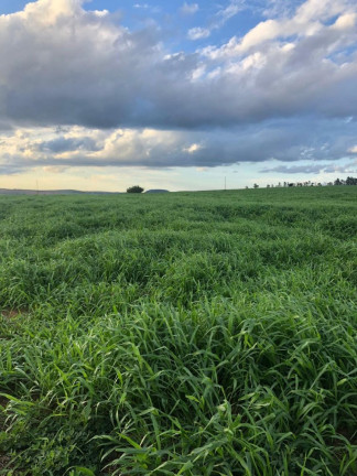 Imagem Imóvel à Venda, 2.042 m² em área Rural De Marília - Marília Imagem Imóvel à Venda, 2.042 m² em área Rural De Marília - Marília