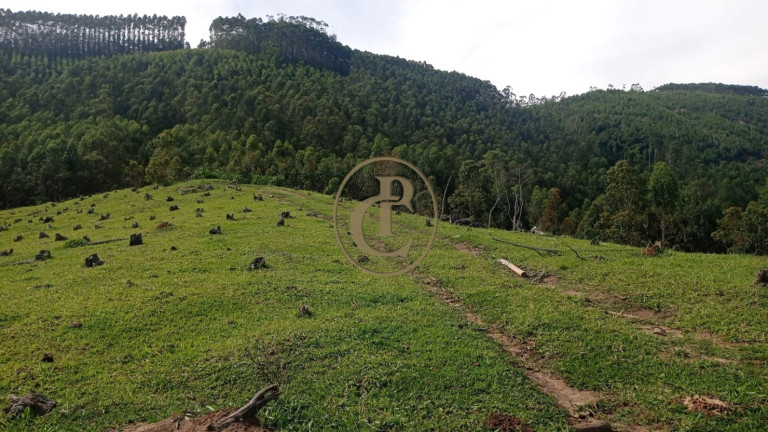 Imagem Fazenda para Alugar, 100 m² em Serrote - Santa Branca Imagem Fazenda para Alugar, 100 m² em Serrote - Santa Branca