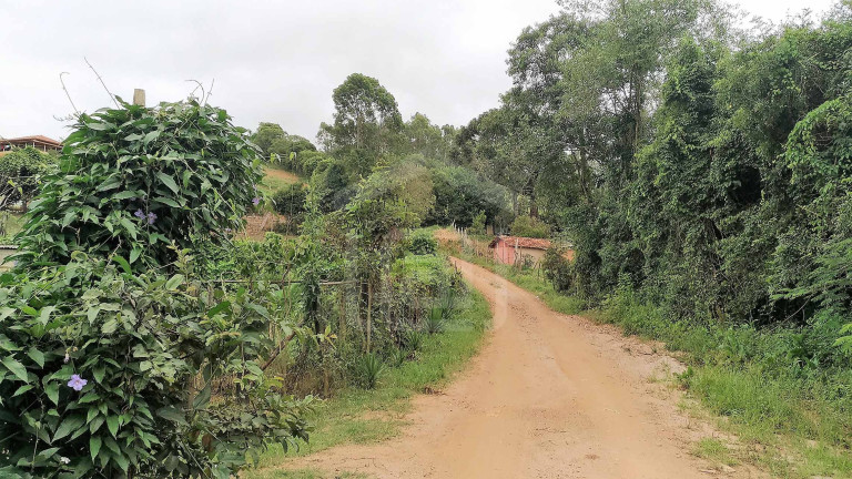 Imagem Imóvel com 1 Quarto à Venda, 20.000 m² em Capituvas (rural) - Bandeira Do Sul Imagem Imóvel com 1 Quarto à Venda, 20.000 m² em Capituvas (rural) - Bandeira Do Sul