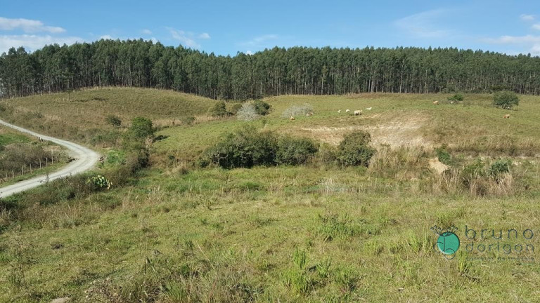Imagem Terreno à Venda, 450.000 m² em Zona Rural - Bom Retiro Imagem Terreno à Venda, 450.000 m² em Zona Rural - Bom Retiro