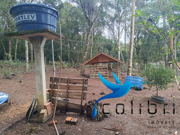 Imagem Chácara com 8 Quartos à Venda, 33.000 m² em Rio Da Várzea - Quitandinha Imagem Chácara com 8 Quartos à Venda, 33.000 m² em Rio Da Várzea - Quitandinha