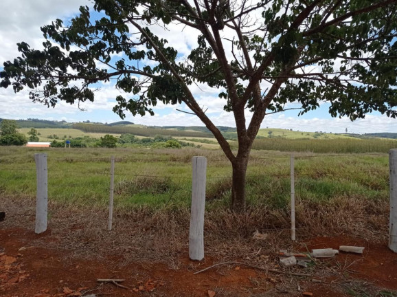 Imagem Fazenda à Venda, 113 m² em Rural - Paranapanema Imagem Fazenda à Venda, 113 m² em Rural - Paranapanema