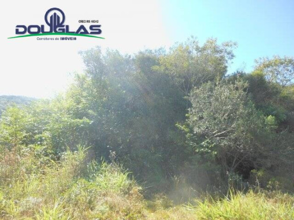 Imagem Terreno à Venda, 600 m² em águas Claras - Viamão