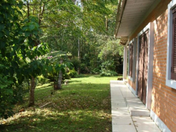 Imagem Imóvel com 3 Quartos à Venda, 70 m² em Linha Pirajá - Nova Petrópolis Imagem Imóvel com 3 Quartos à Venda, 70 m² em Linha Pirajá - Nova Petrópolis