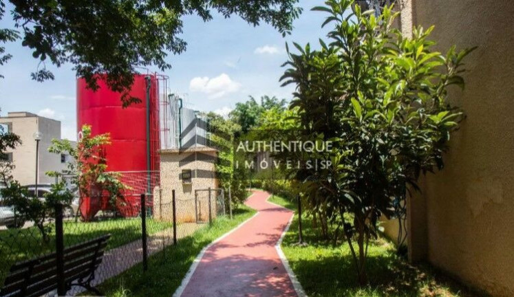 Imagem Apartamento com 3 Quartos à Venda, 57 m² em Jabaquara - São Paulo Imagem Apartamento com 3 Quartos à Venda, 57 m² em Jabaquara - São Paulo