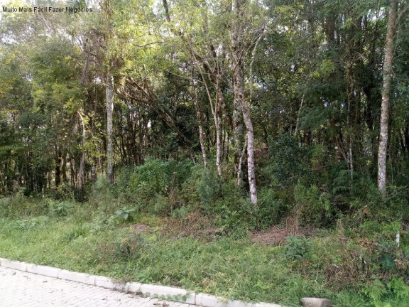 Terreno à Venda, 370 m² em Linha Imperial - Nova Petrópolis