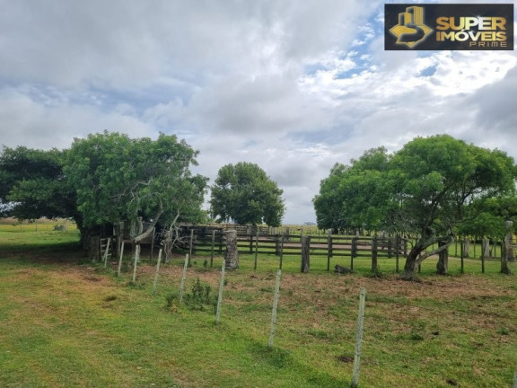Imagem Imóvel com 2 Quartos à Venda, 14.700.000 m² em Quinta - Rio Grande