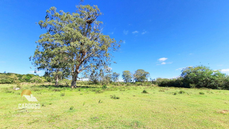 Imagem Fazenda à Venda, 120.000 m² em águas Claras - Viamão Imagem Fazenda à Venda, 120.000 m² em águas Claras - Viamão
