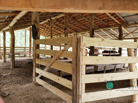 Imagem Imóvel com 3 Quartos à Venda, 250.000 m² em Zona Rural - Bom Retiro Imagem Imóvel com 3 Quartos à Venda, 250.000 m² em Zona Rural - Bom Retiro