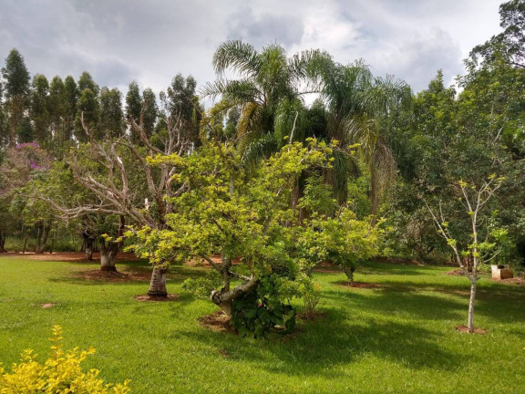 Imagem Chácara com 2 Quartos à Venda, 10 m² em Cerrado - Alambari Imagem Chácara com 2 Quartos à Venda, 10 m² em Cerrado - Alambari