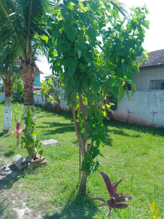 Imagem Casa com 1 Quarto à Venda, 50 m² em Vila Atlântica - Mongaguá