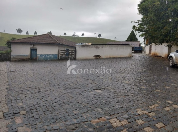 Imagem Fazenda à Venda, 100 m² em Cachoeira Grande - Lagoinha Imagem Fazenda à Venda, 100 m² em Cachoeira Grande - Lagoinha