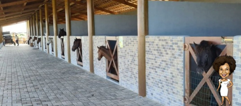 Imagem Imóvel à Venda, 525 m² em Centro - Itaporanga D'ajuda