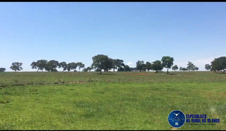 Imagem Fazenda à Venda, 43 m² em Zona Rural - Quirinópolis Imagem Fazenda à Venda, 43 m² em Zona Rural - Quirinópolis