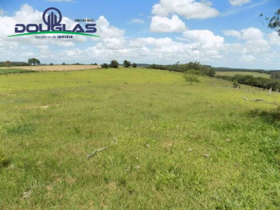 Imagem Chácara com 2 Quartos à Venda, 190.000 m² em Viamão