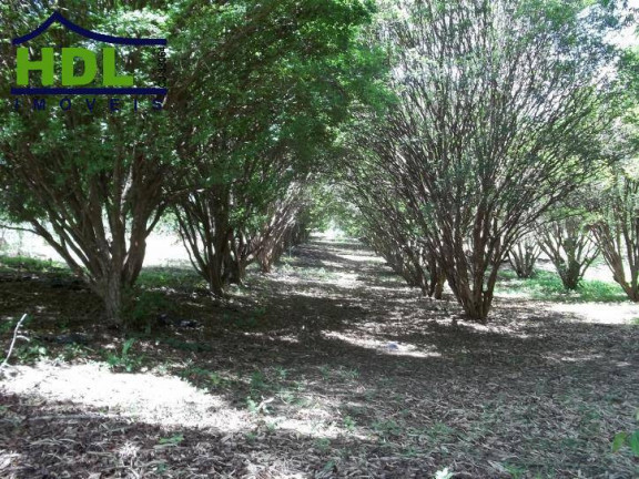 Imagem Chácara com 10 Quartos à Venda, 7 m² em Zona Rural - Hidrolândia Imagem Chácara com 10 Quartos à Venda, 7 m² em Zona Rural - Hidrolândia