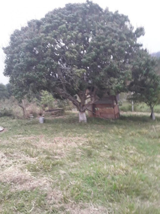 Imagem Imóvel com 2 Quartos à Venda, 1.500 m² em Caete (mailasqui) - São Roque