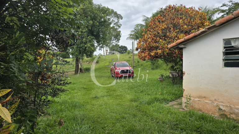 Imagem Chácara com 3 Quartos à Venda, 44.000 m² em Mato Seco - Mogi Guaçu Imagem Chácara com 3 Quartos à Venda, 44.000 m² em Mato Seco - Mogi Guaçu