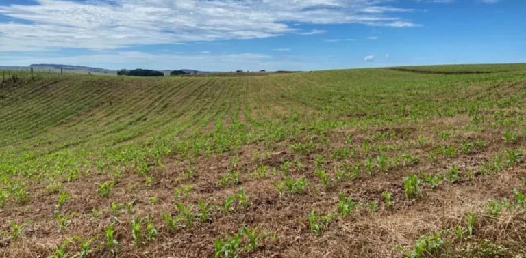 Imagem Fazenda à Venda, 104 m² em Localidade Azulega - Cambara Do Sul Imagem Fazenda à Venda, 104 m² em Localidade Azulega - Cambara Do Sul